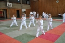 Zum Saisonabschluss haben die Kinder der Ju Jitsu Abteilung ihr Können bewiesen