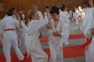25 Jahre Ju Jitsu – Großer Kinder- und Jugendlehrgang absolviert
